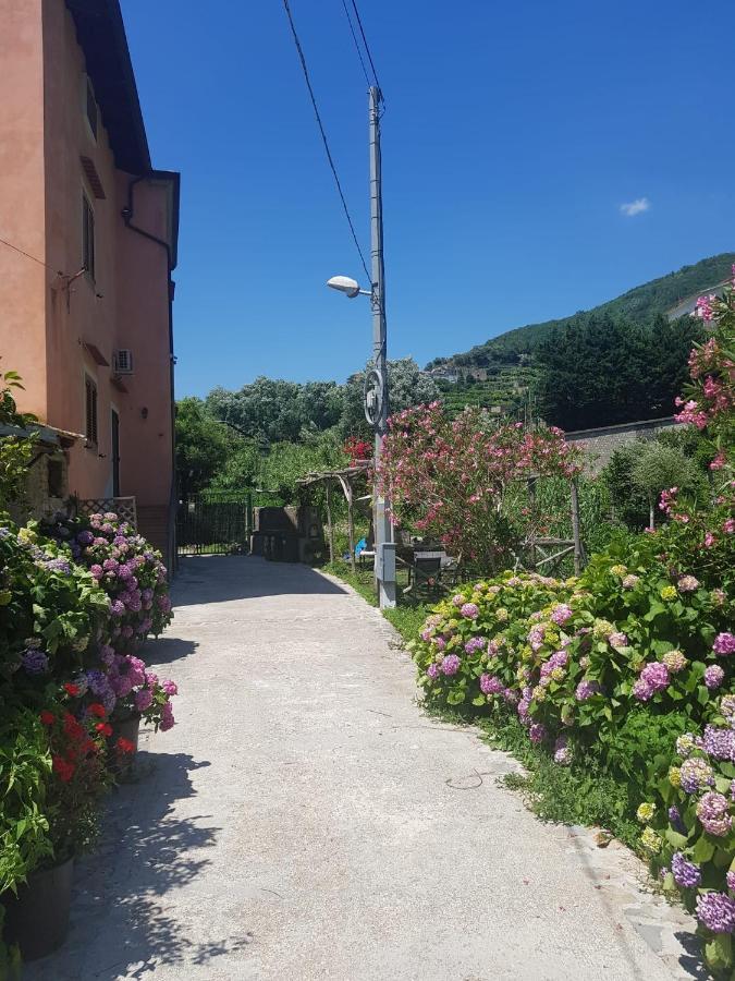 فيلا Casa Nonna Anna مايوري المظهر الخارجي الصورة